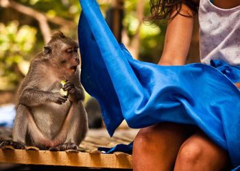 Photos That Were Taken At The Perfect Time.