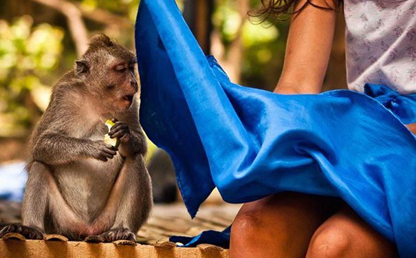 Photos That Were Taken At The Perfect Time.