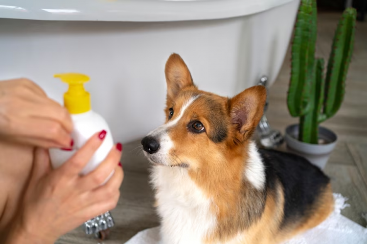 Animal health and beauty products
