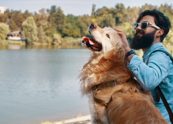 Explore Pet-friendly Travel Destinations in the USA
