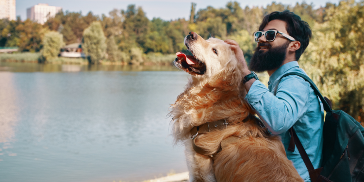 Explore Pet-friendly Travel Destinations in the USA