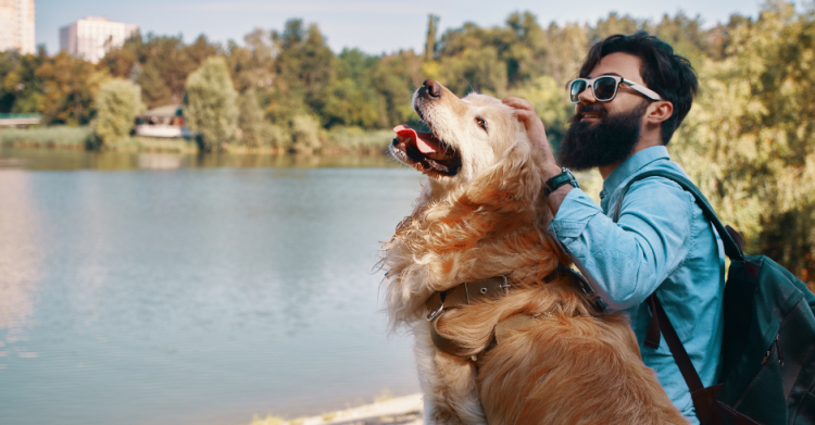 Explore Pet-friendly Travel Destinations in the USA