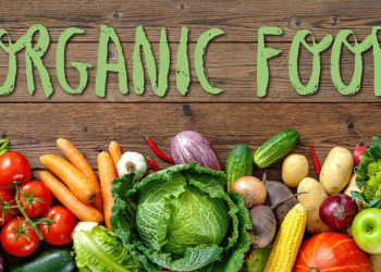 Top Vegetarian Food Sources To Boost Your Vitamin B12 Levels