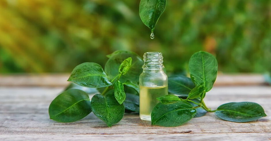 Peppermint oil