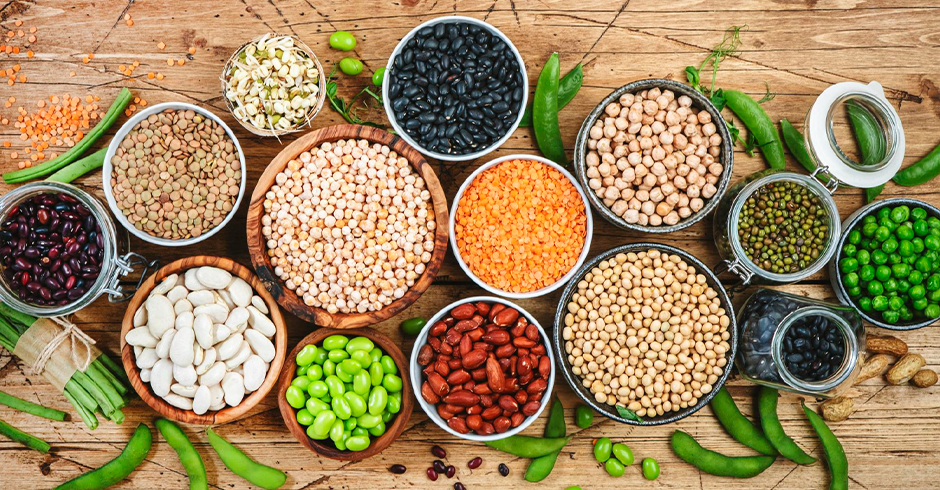 Beans and Legumes Healthy Foods for Kids