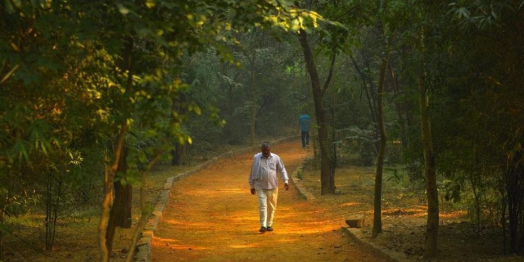 Horror Sanjay Van